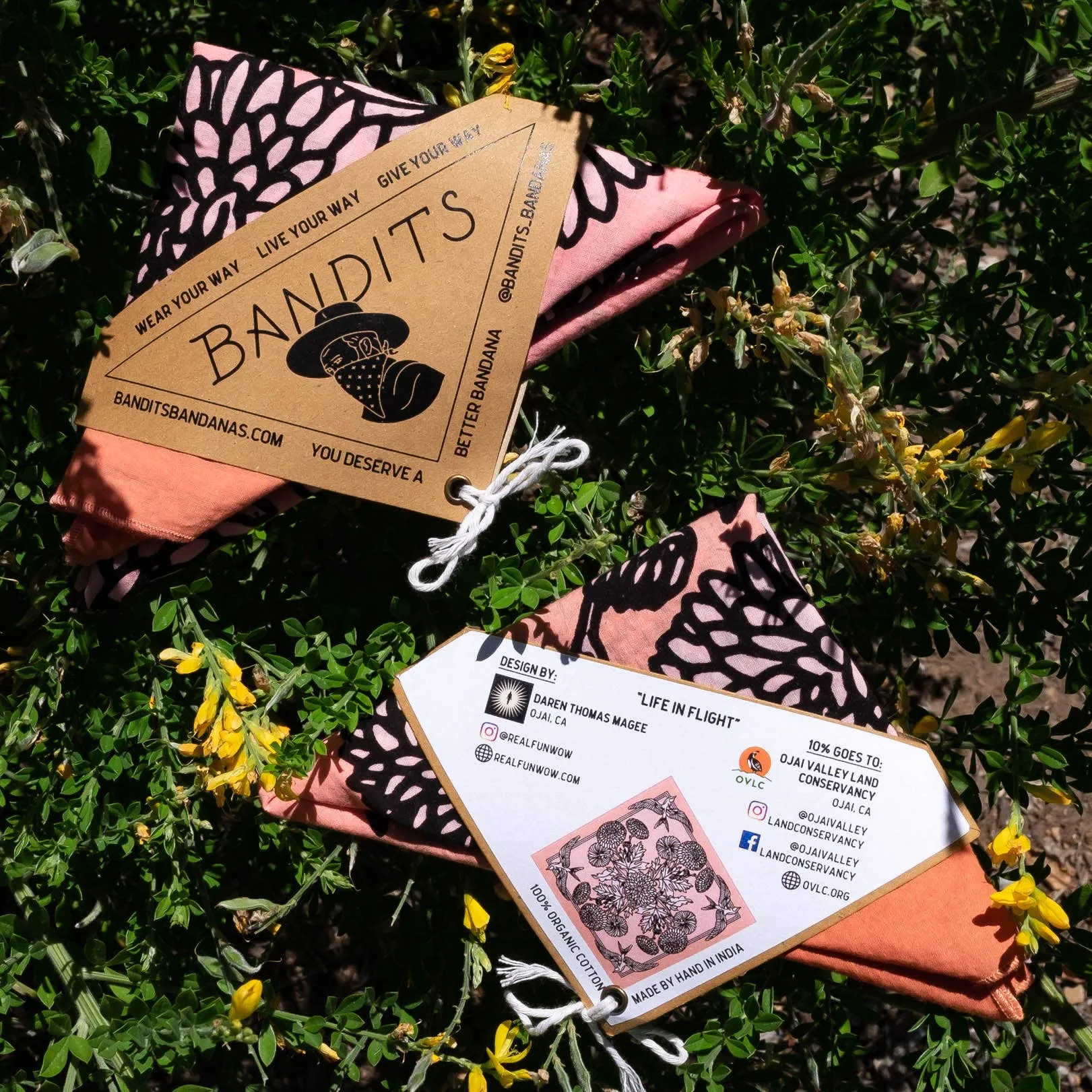 "Life In Flight" sold by Ace Rivington product image thumbnail 3