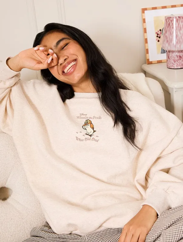 Disney Winnie The Pooh Owl Sweatshirt sold by Skinnydip London