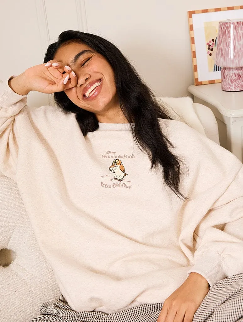 Disney Winnie The Pooh Owl Sweatshirt sold by Skinnydip London