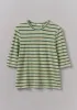 Cleo Stripe Cotton Half Sleeve Tee | Sage sold by TOAST