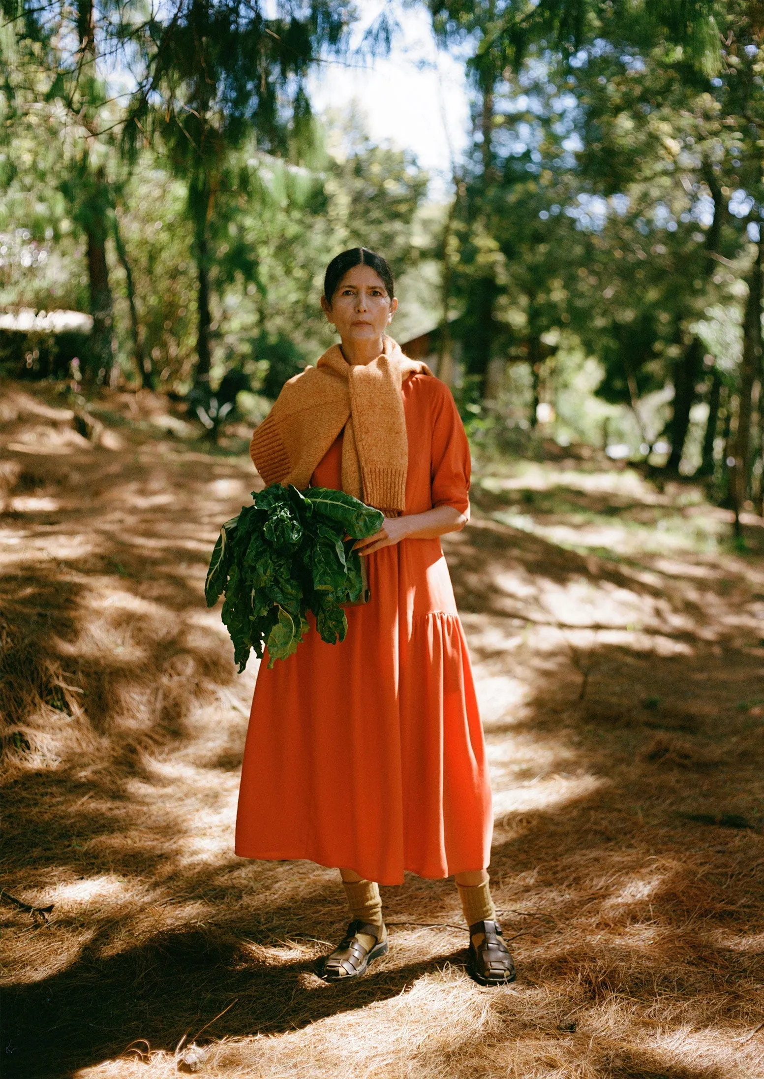 Tiered Twill Shirt Dress | Nasturtium sold by TOAST product image thumbnail 2