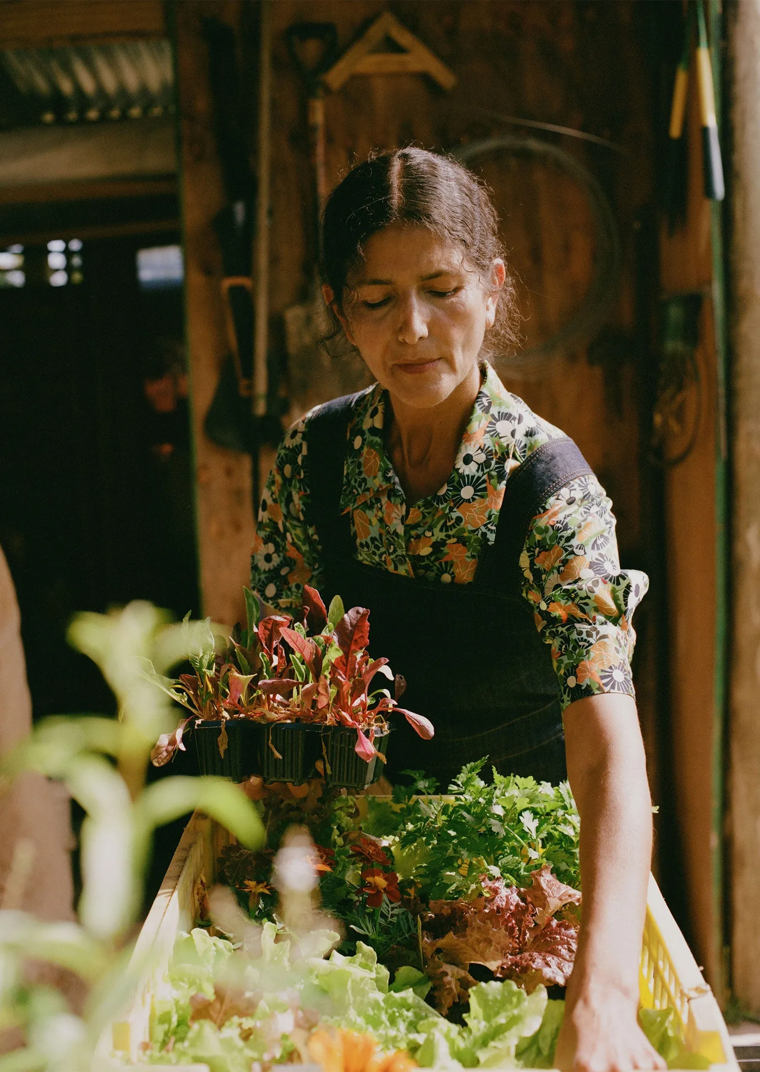 Side Button Denim Pinafore Dress | Indigo sold by TOAST product image thumbnail 3