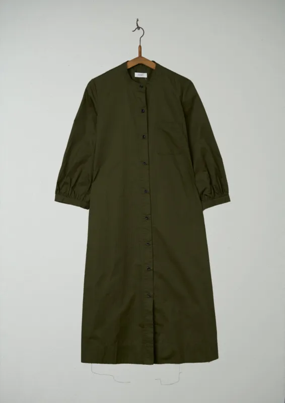 Reworn Cotton Sateen Dress Size 10 (582) | Olive sold by TOAST