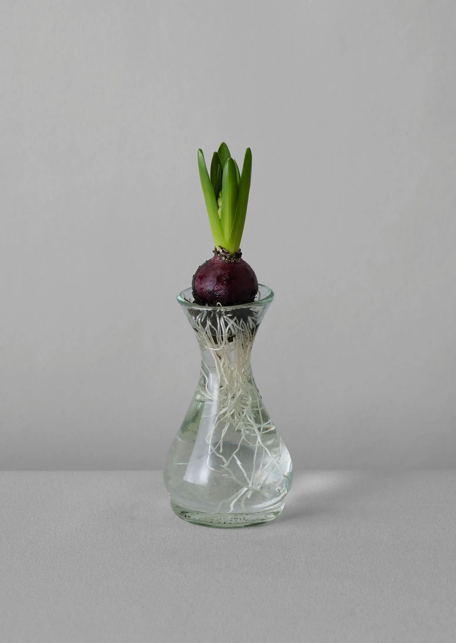 La Soufflerie Hand Blown Polonaise Vase | Clear sold by TOAST product image thumbnail 3