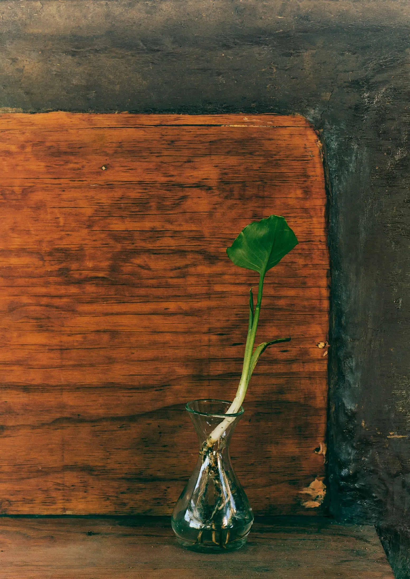 La Soufflerie Hand Blown Polonaise Vase | Clear sold by TOAST product image thumbnail 2