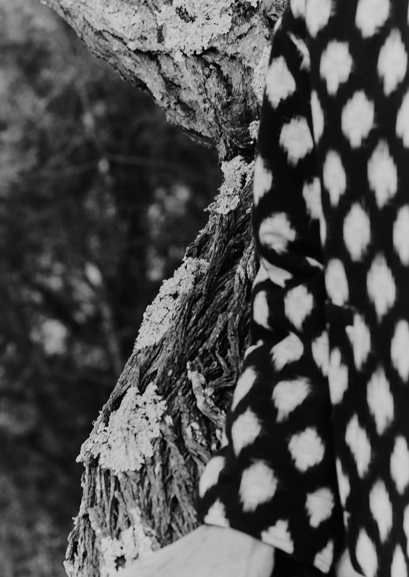 Crosshatch Ikat Quilted Cotton Jacket | Indigo Blue sold by TOAST product image thumbnail 3