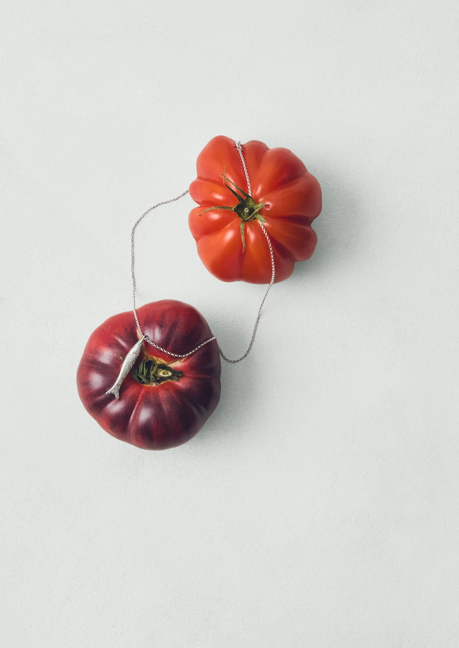 Alba Silver Fish Pendant Necklace | Silver sold by TOAST product image thumbnail 3