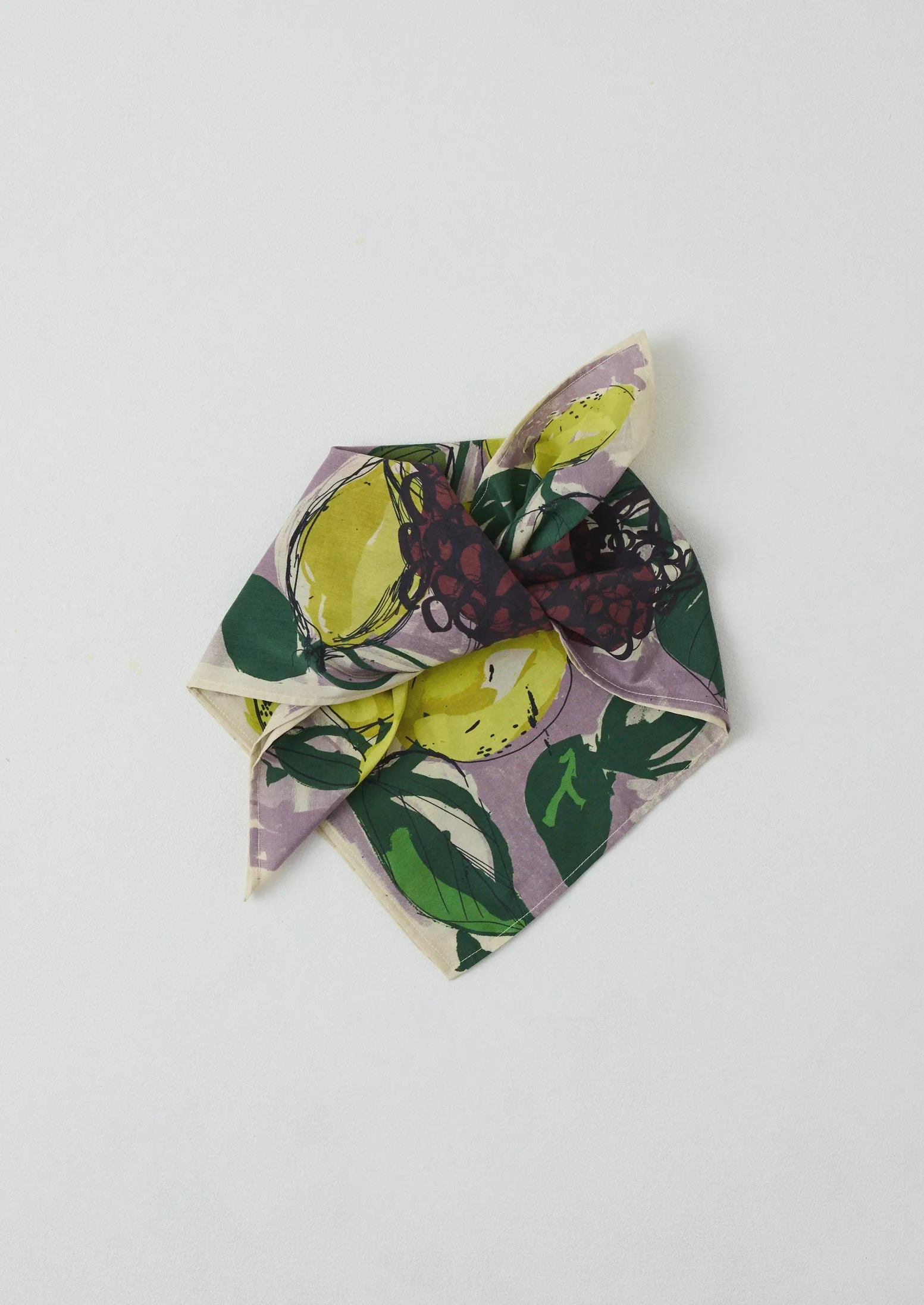 Sketched Fruit Cotton Silk Bandana | Thistle sold by TOAST product image thumbnail 3