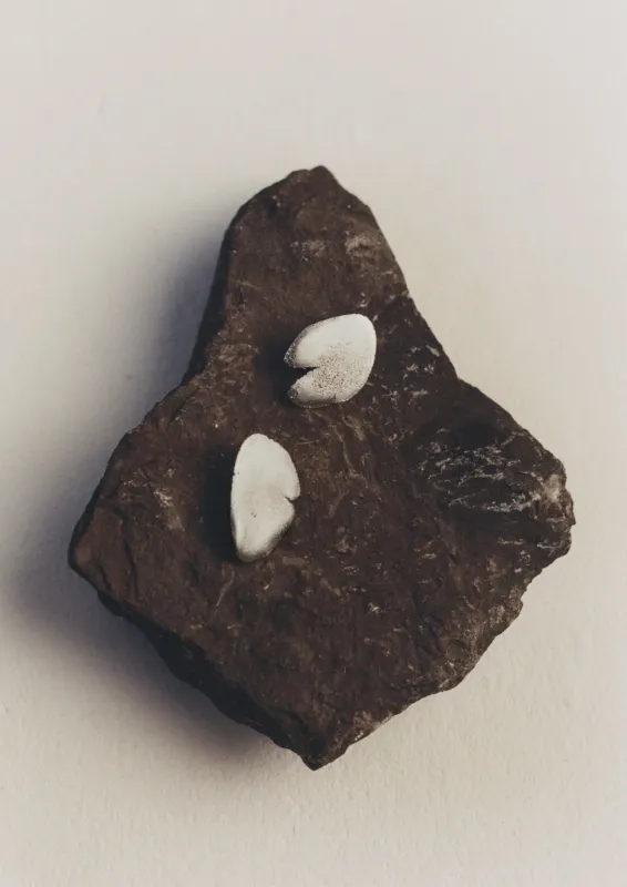 Egle Silko Medusa Earrings | Silver made by TOAST
