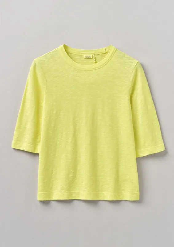 Cleo Cotton Half Sleeve Tee | Pollen sold by TOAST