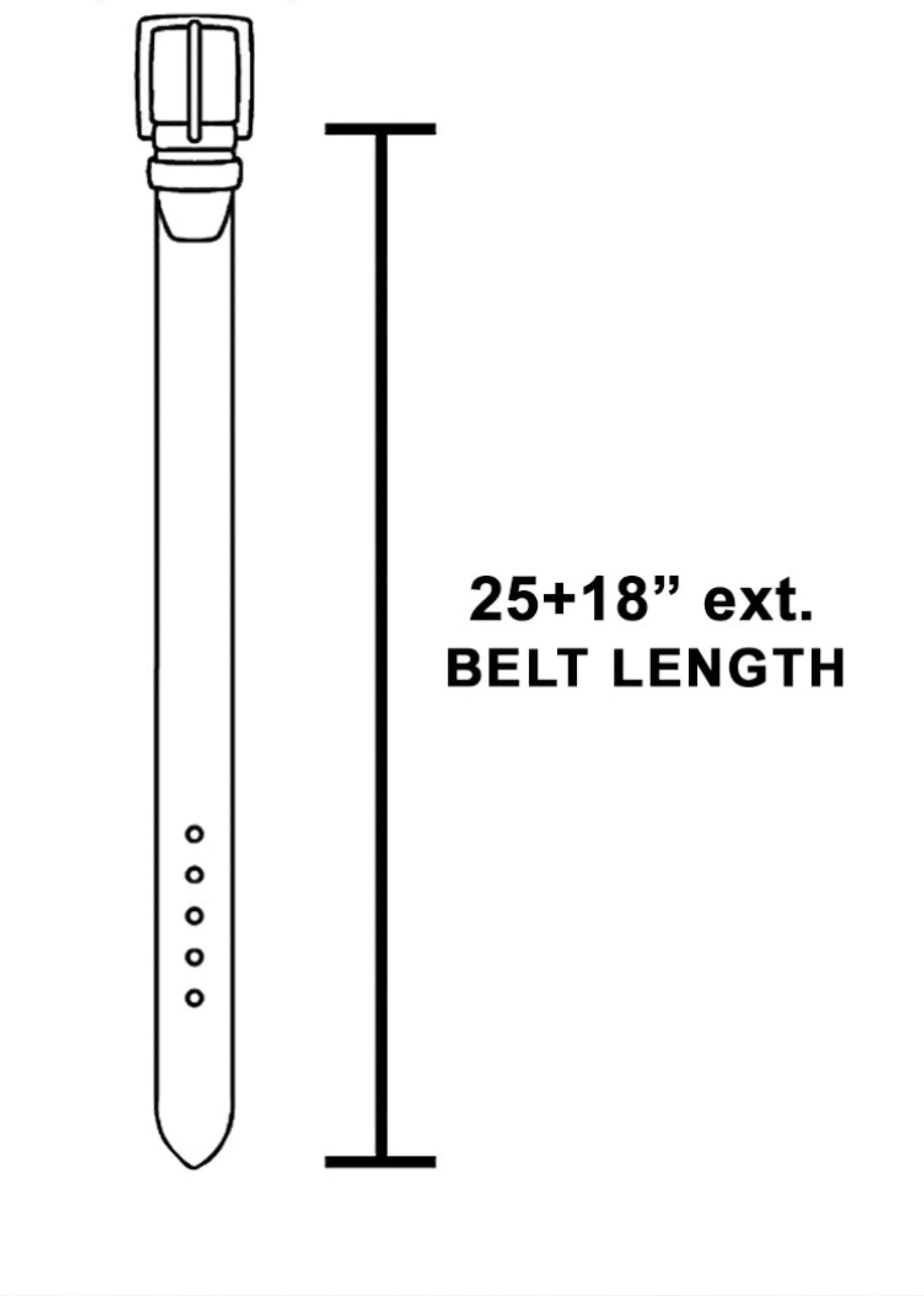 Silver Springs Belt ★ Silver sold by Rock N Rags product image thumbnail 3