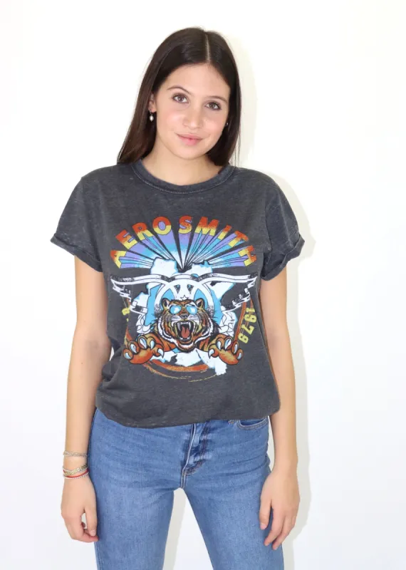 Aerosmith Graphic Tee ★ Grey sold by Rock N Rags