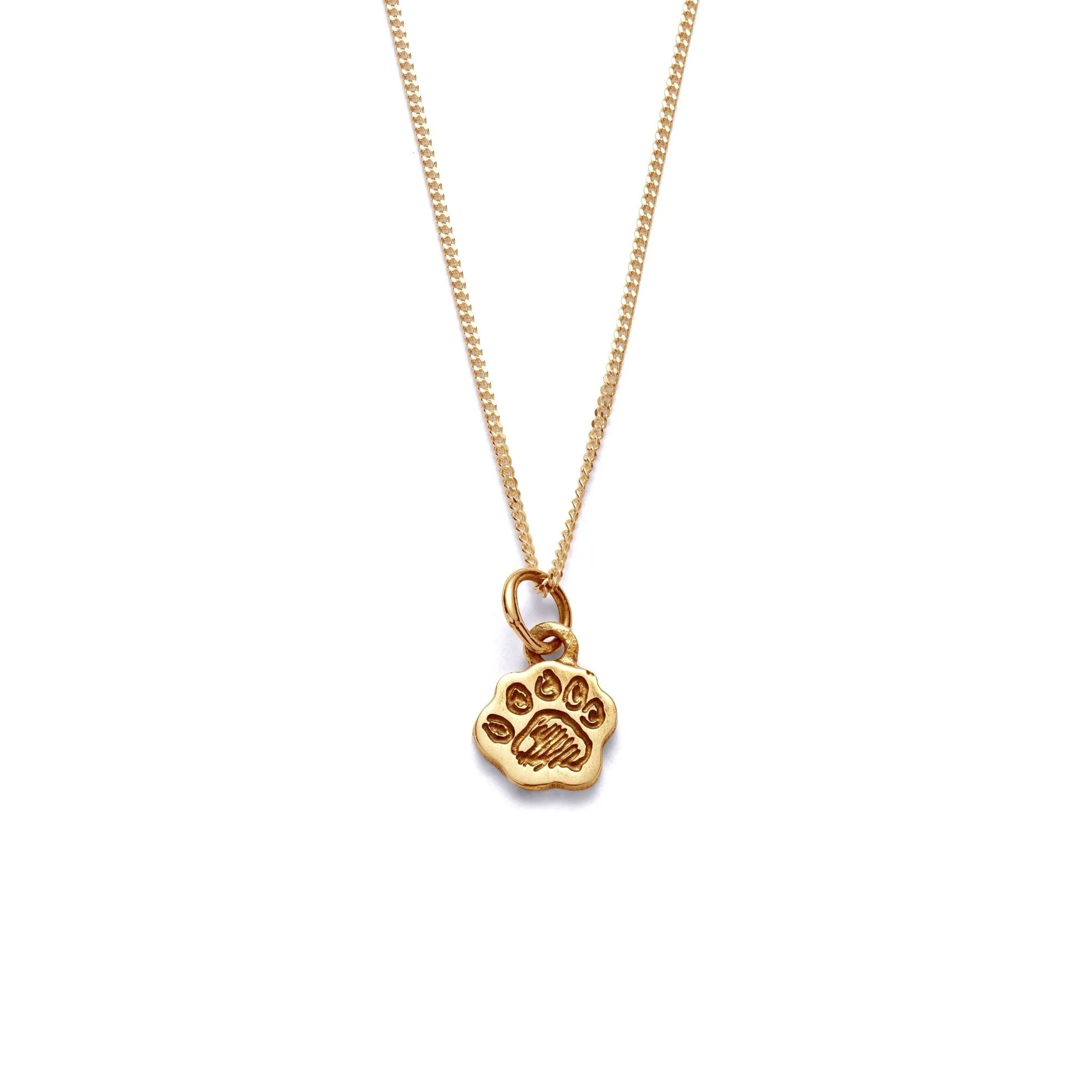 Paddington™ Mini Paw Necklace (18ct Gold Vermeil) sold by Licensed to Charm