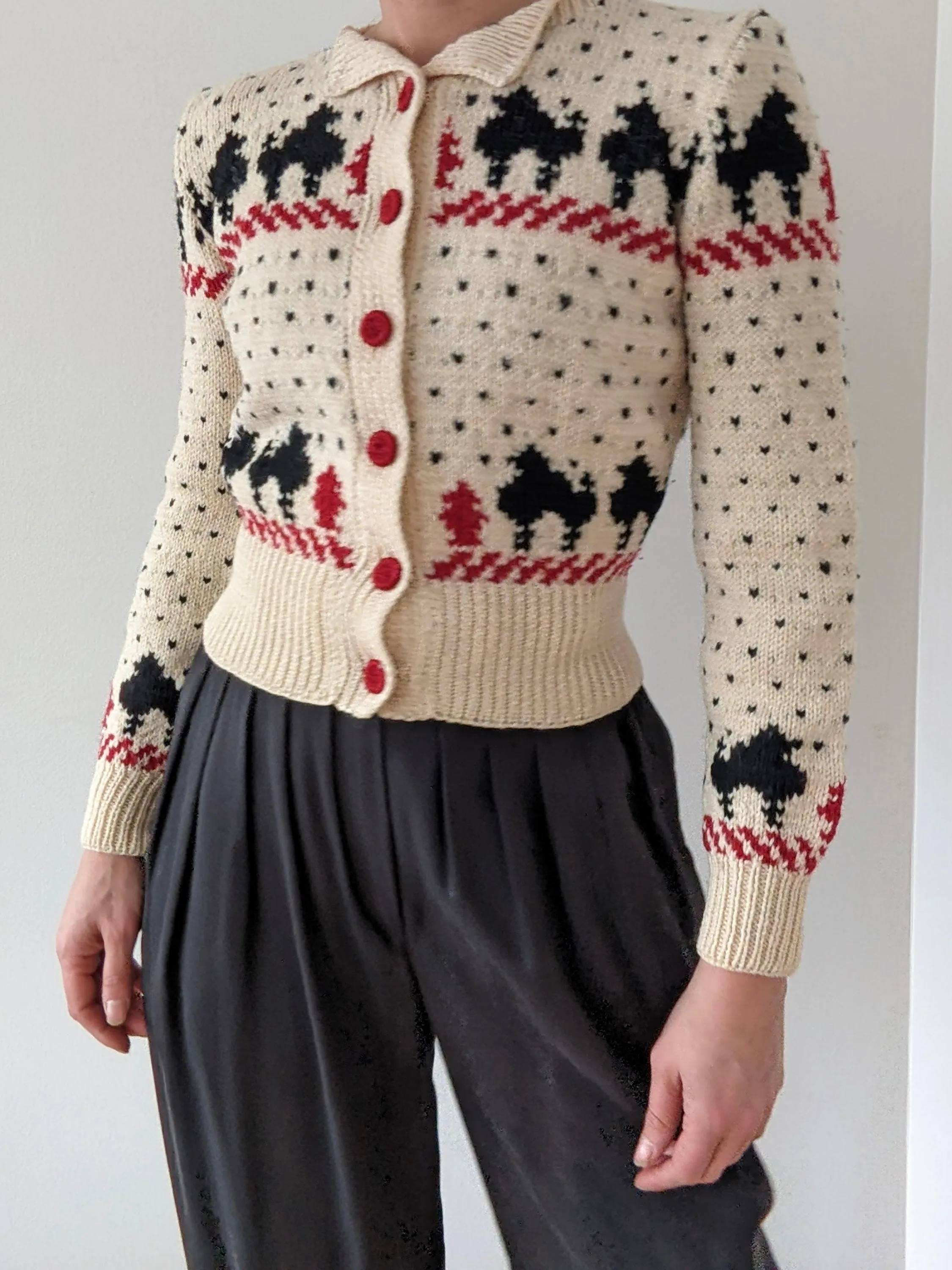 Incredible Vintage Petite Hand Knit Wool Graphic Cardigan sold by NA NIN product image thumbnail 4
