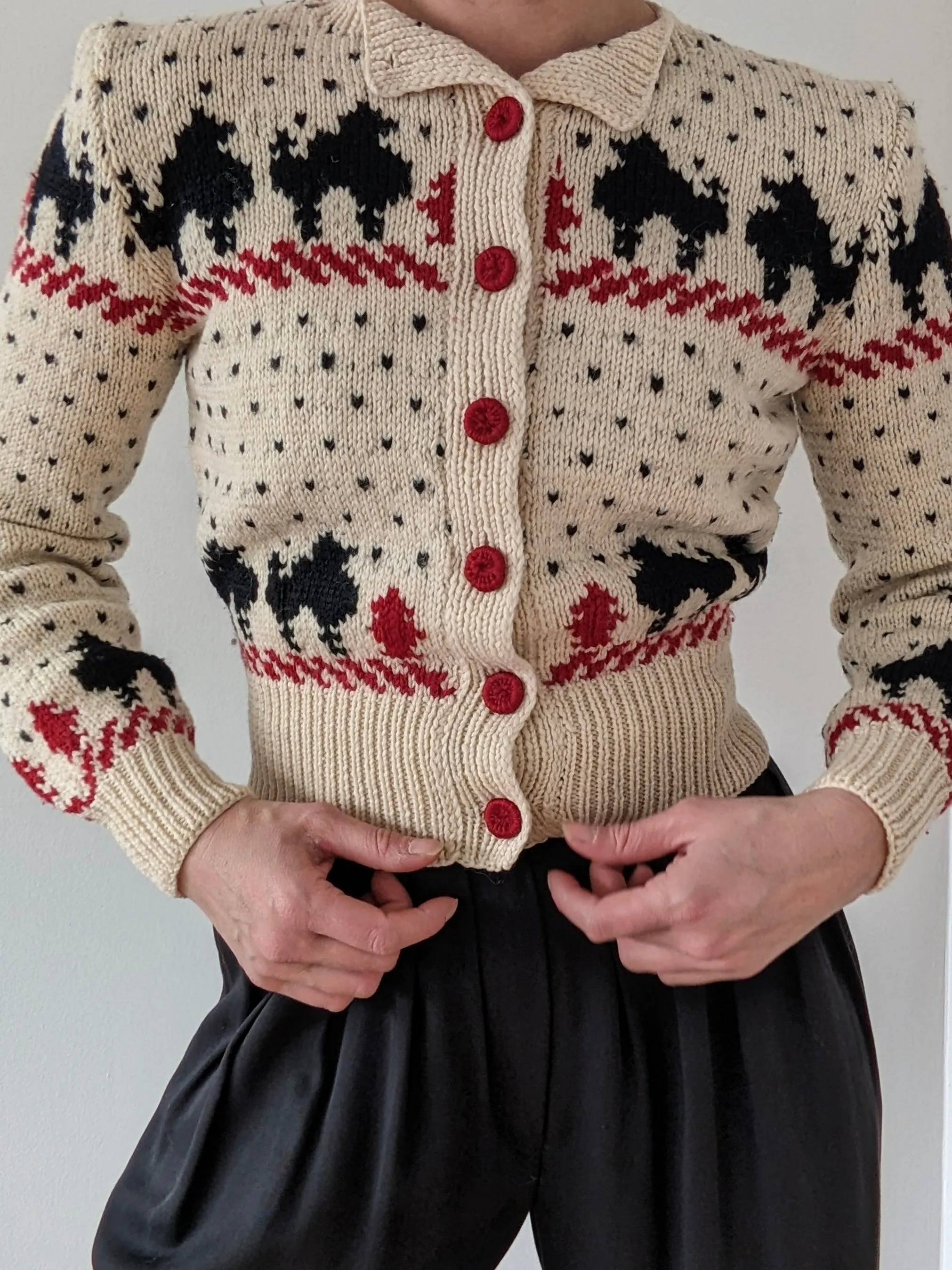 Incredible Vintage Petite Hand Knit Wool Graphic Cardigan sold by NA NIN product image thumbnail 3