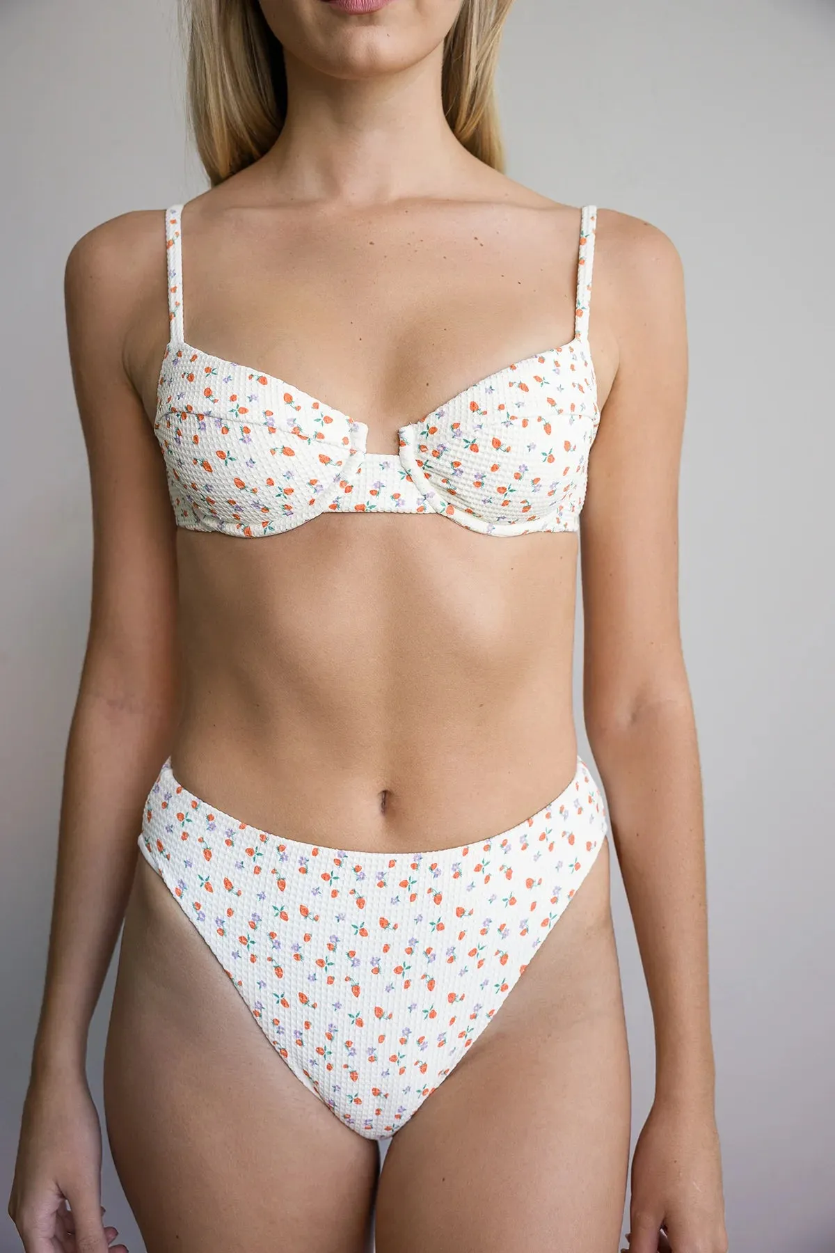 Seashore High Waist Cheeky Bikini Bottom sold by Dippin Daisy’s product image thumbnail 2
