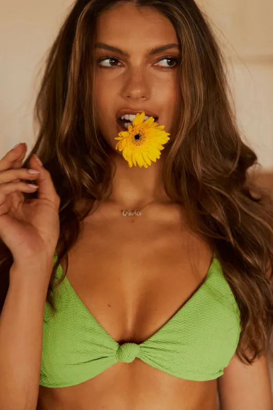 Zen Knotted Triangle Bikini Top Plus sold by Dippin Daisy’s