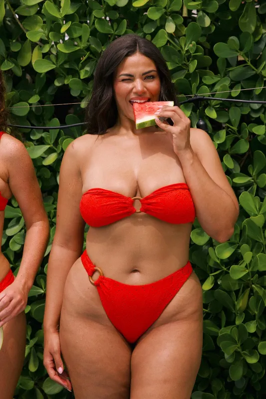 Dive In Super Cheeky Bikini Bottom made by Dippin Daisy’s