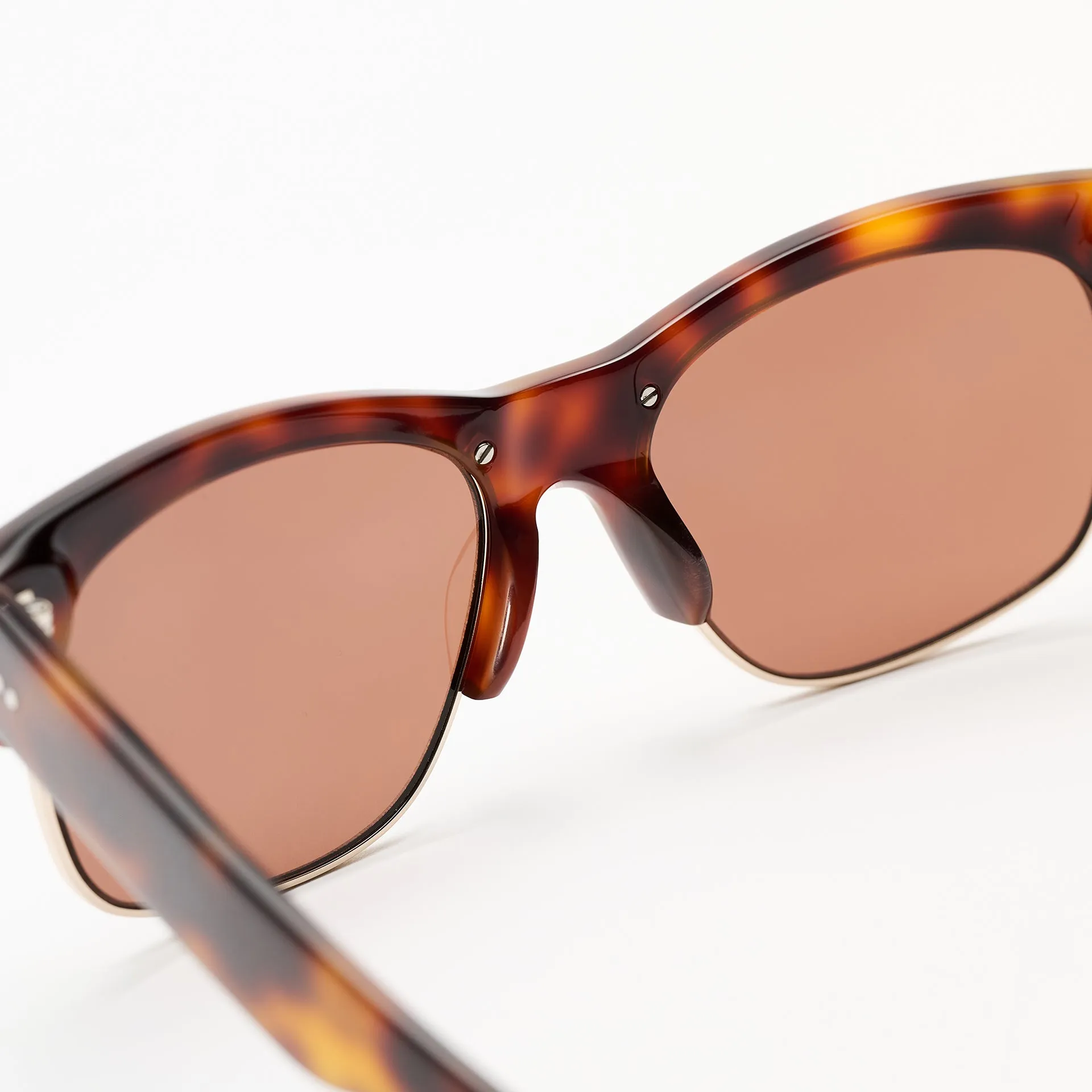 Alma Tortoise sold by Sun Buddies product image thumbnail 5