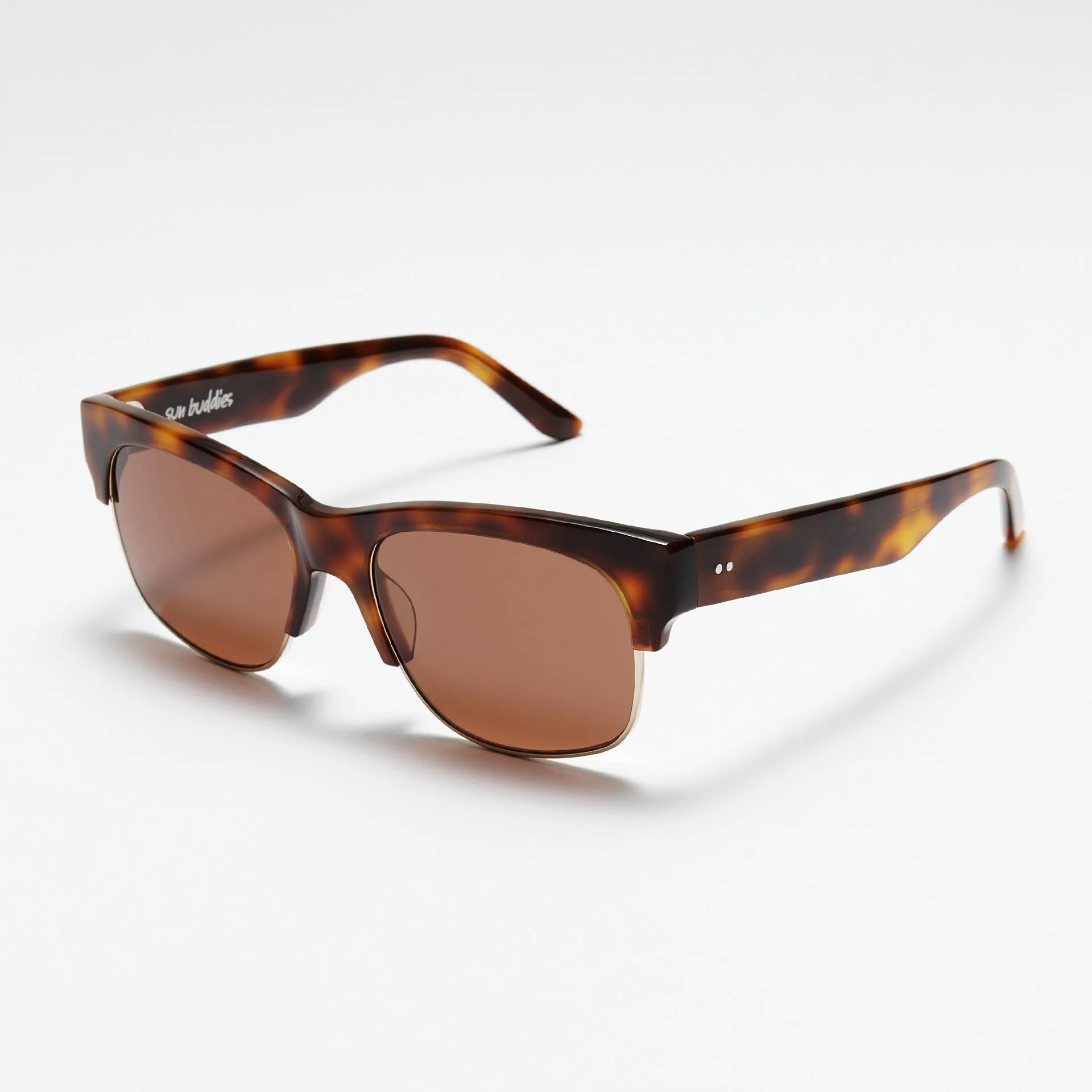 Alma Tortoise sold by Sun Buddies product image thumbnail 2