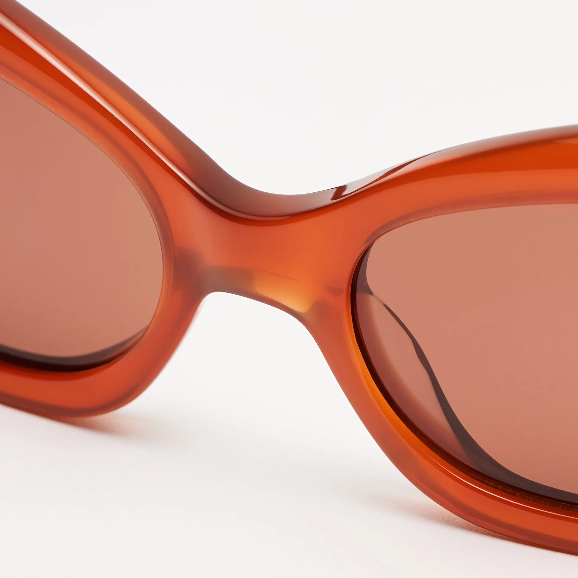 Elton Milky Brown sold by Sun Buddies product image thumbnail 5