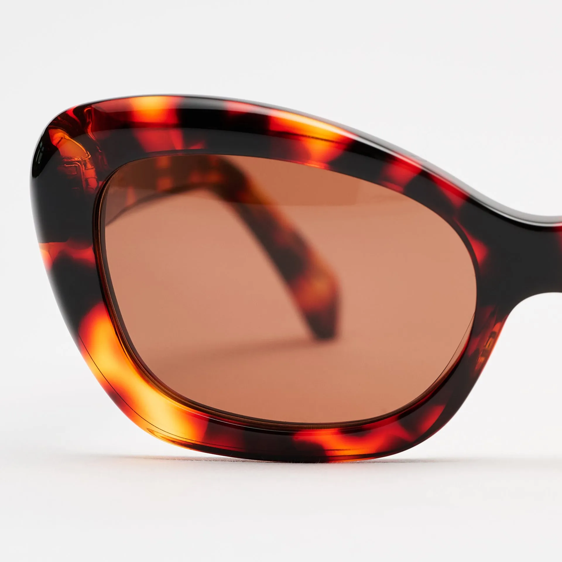 Elton Leopard sold by Sun Buddies product image thumbnail 4