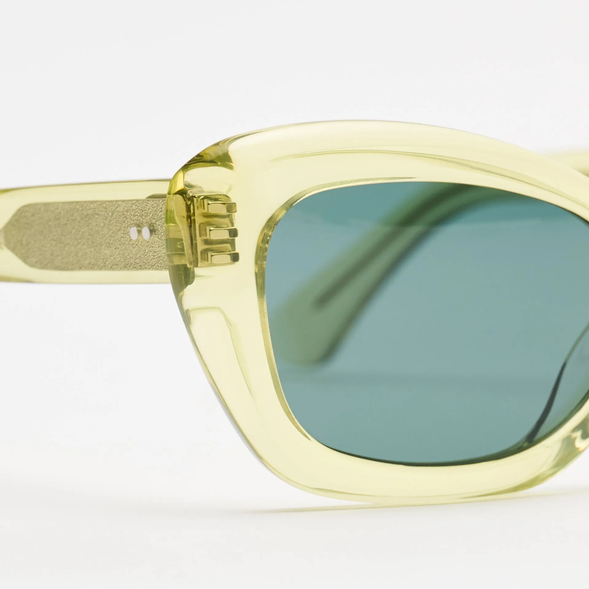 Elton Elder Flower sold by Sun Buddies product image thumbnail 5