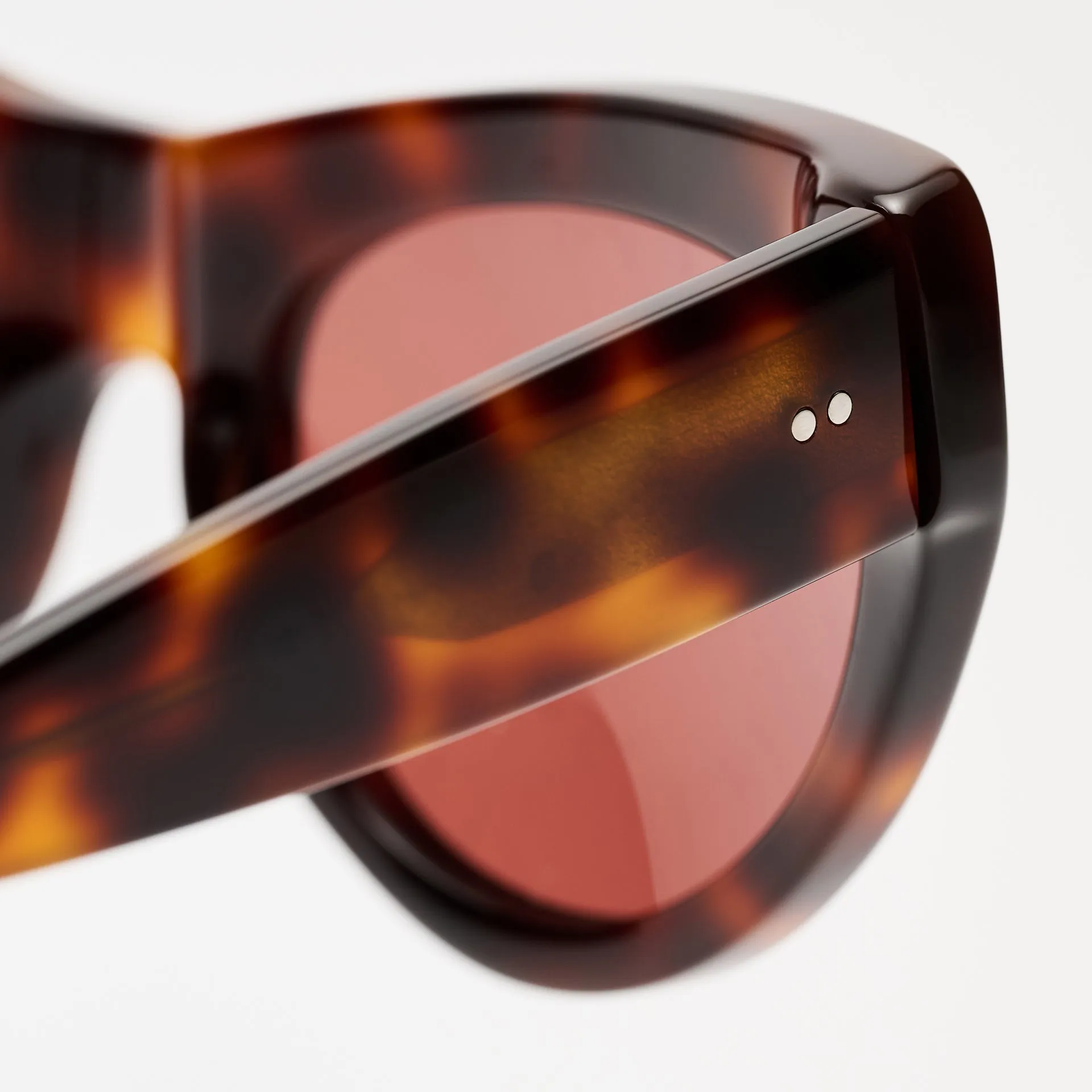 Edgar Tortoise sold by Sun Buddies product image thumbnail 4