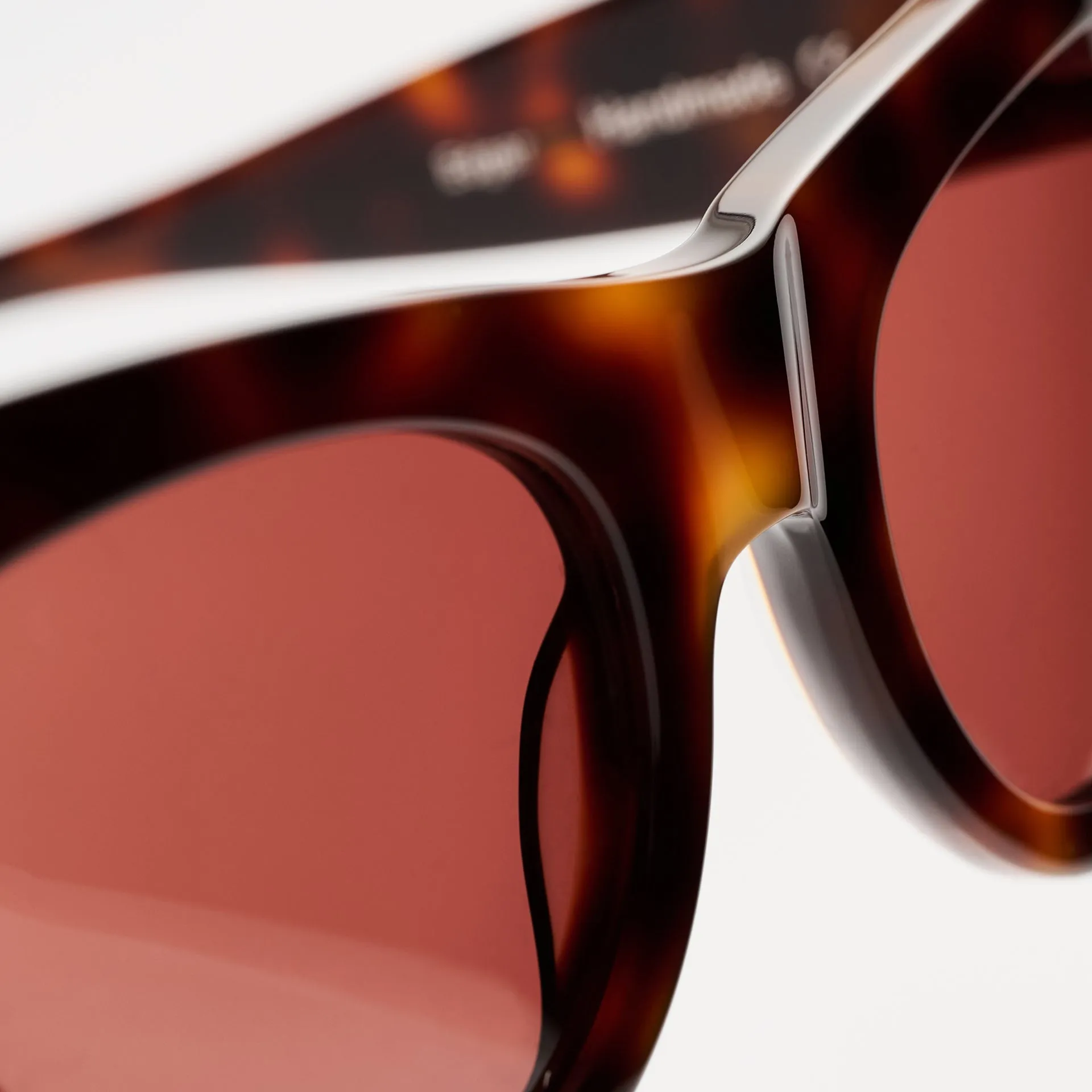 Edgar Tortoise sold by Sun Buddies product image thumbnail 5