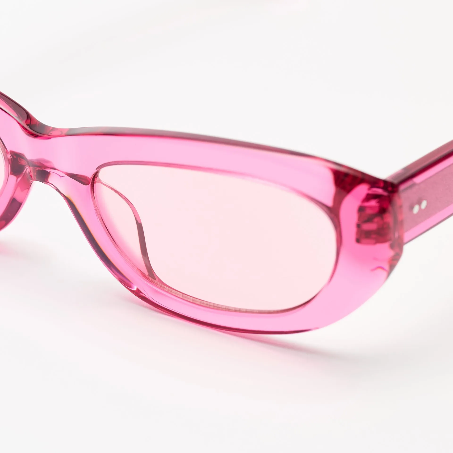 Miuccia Carnation sold by Sun Buddies product image thumbnail 5