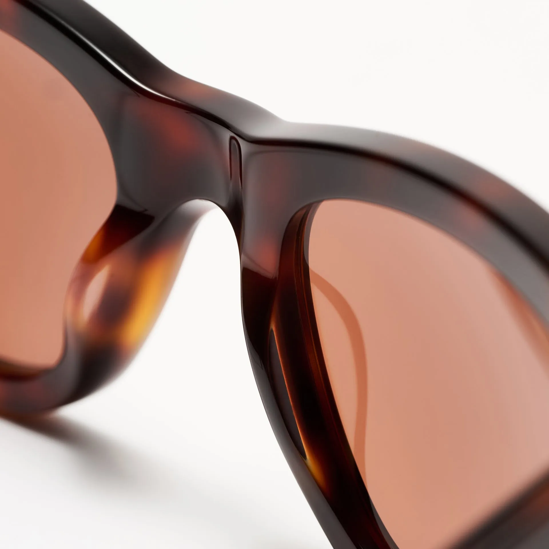 Bibi Tortoise sold by Sun Buddies product image thumbnail 4