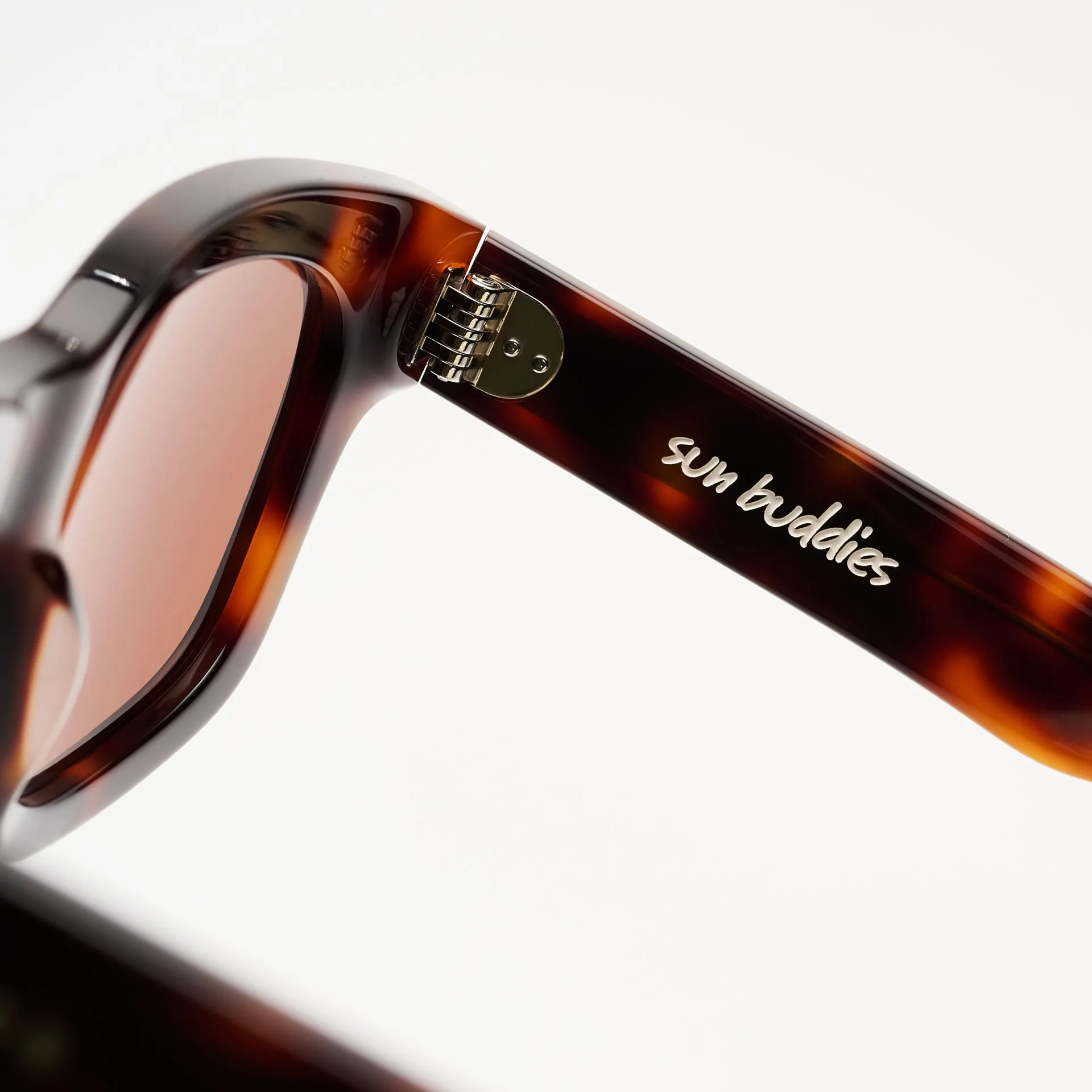 Bibi Tortoise sold by Sun Buddies product image thumbnail 5