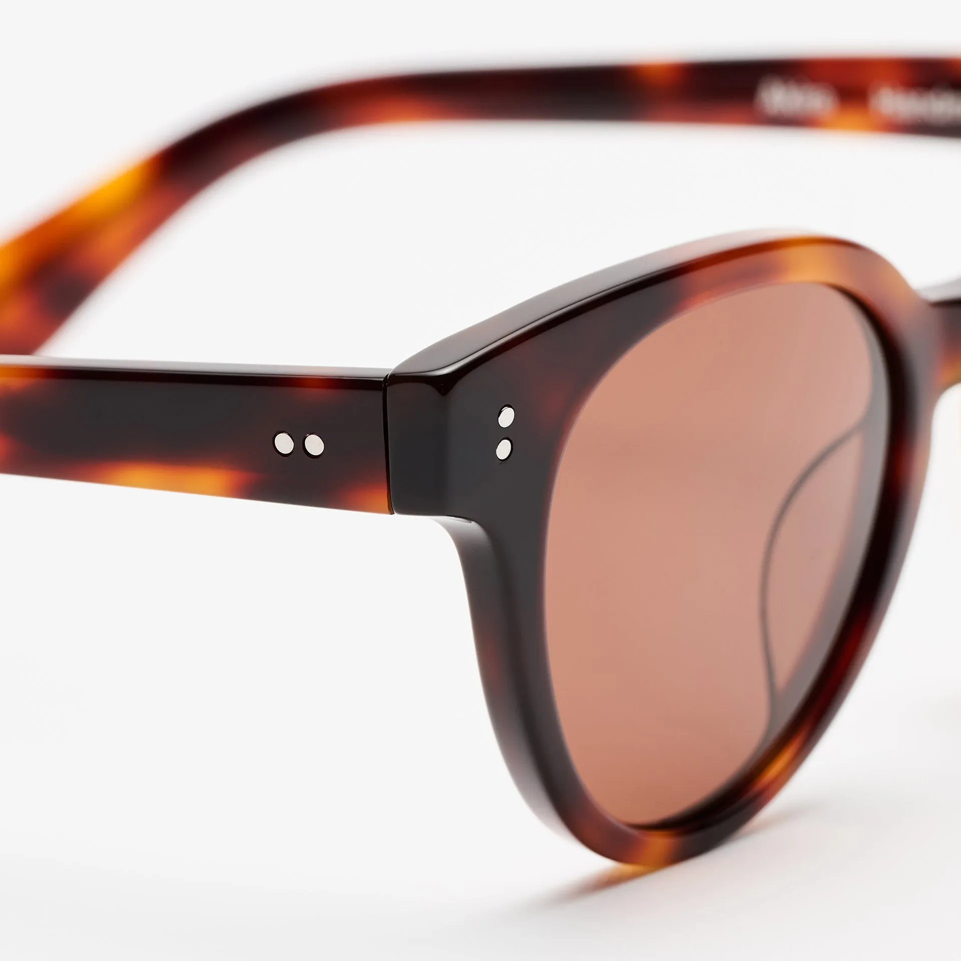 Akira Tortoise sold by Sun Buddies product image thumbnail 4