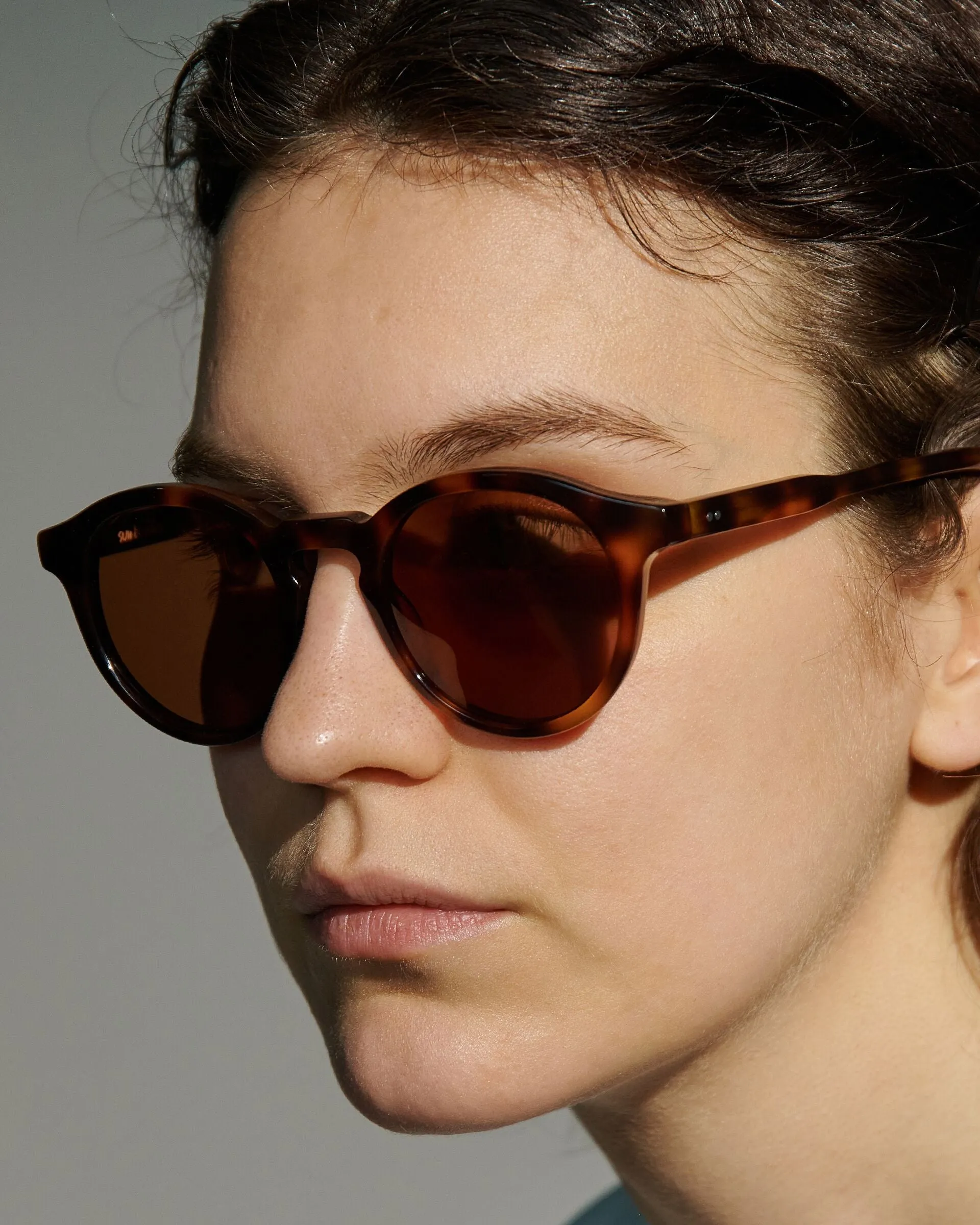 Zinedine Tortoise sold by Sun Buddies product image thumbnail 3