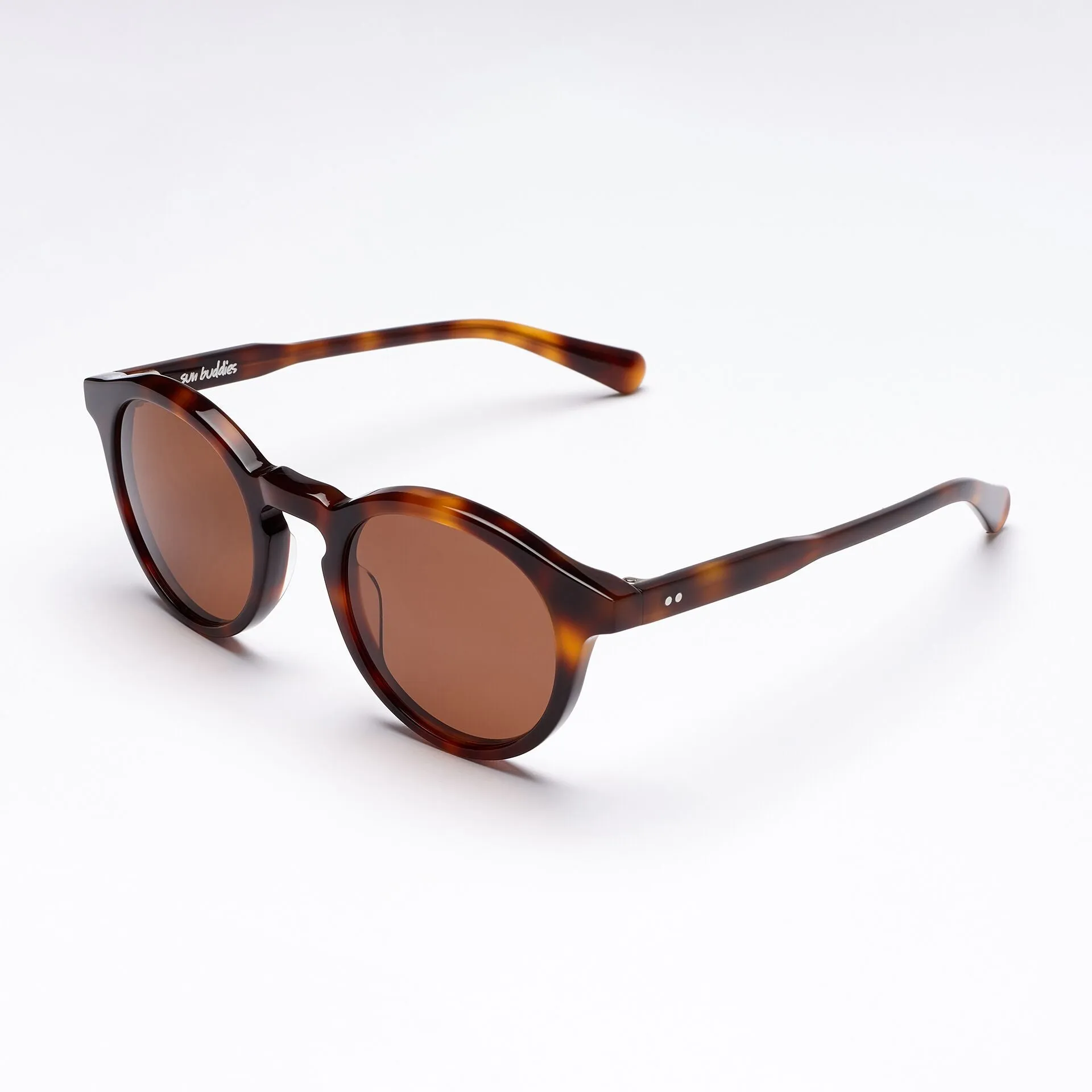 Zinedine Tortoise sold by Sun Buddies product image thumbnail 2