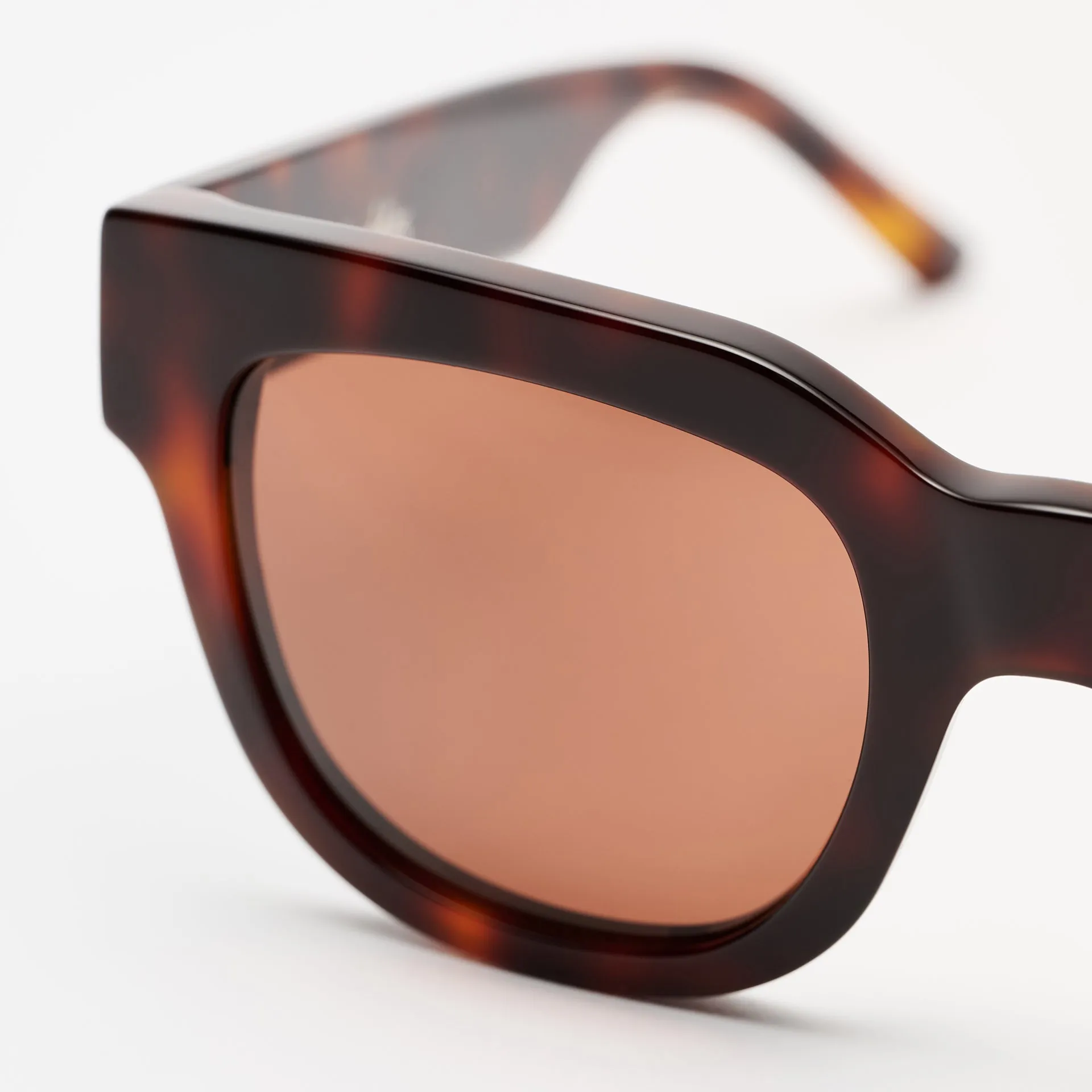 Liv Tortoise sold by Sun Buddies product image thumbnail 4