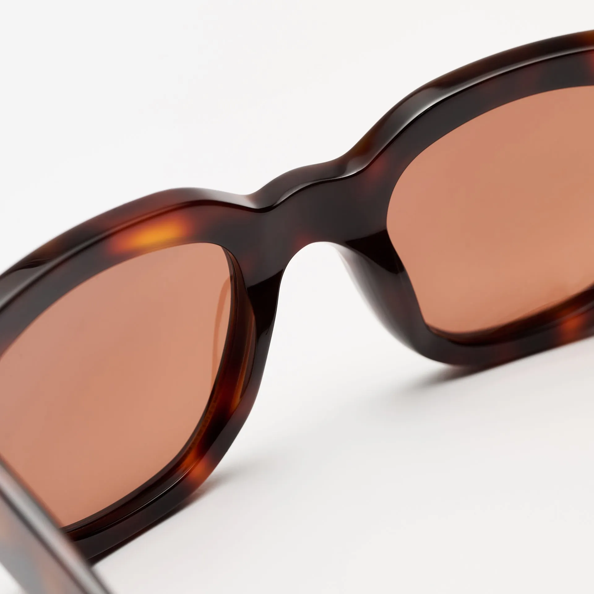 Liv Tortoise sold by Sun Buddies product image thumbnail 5