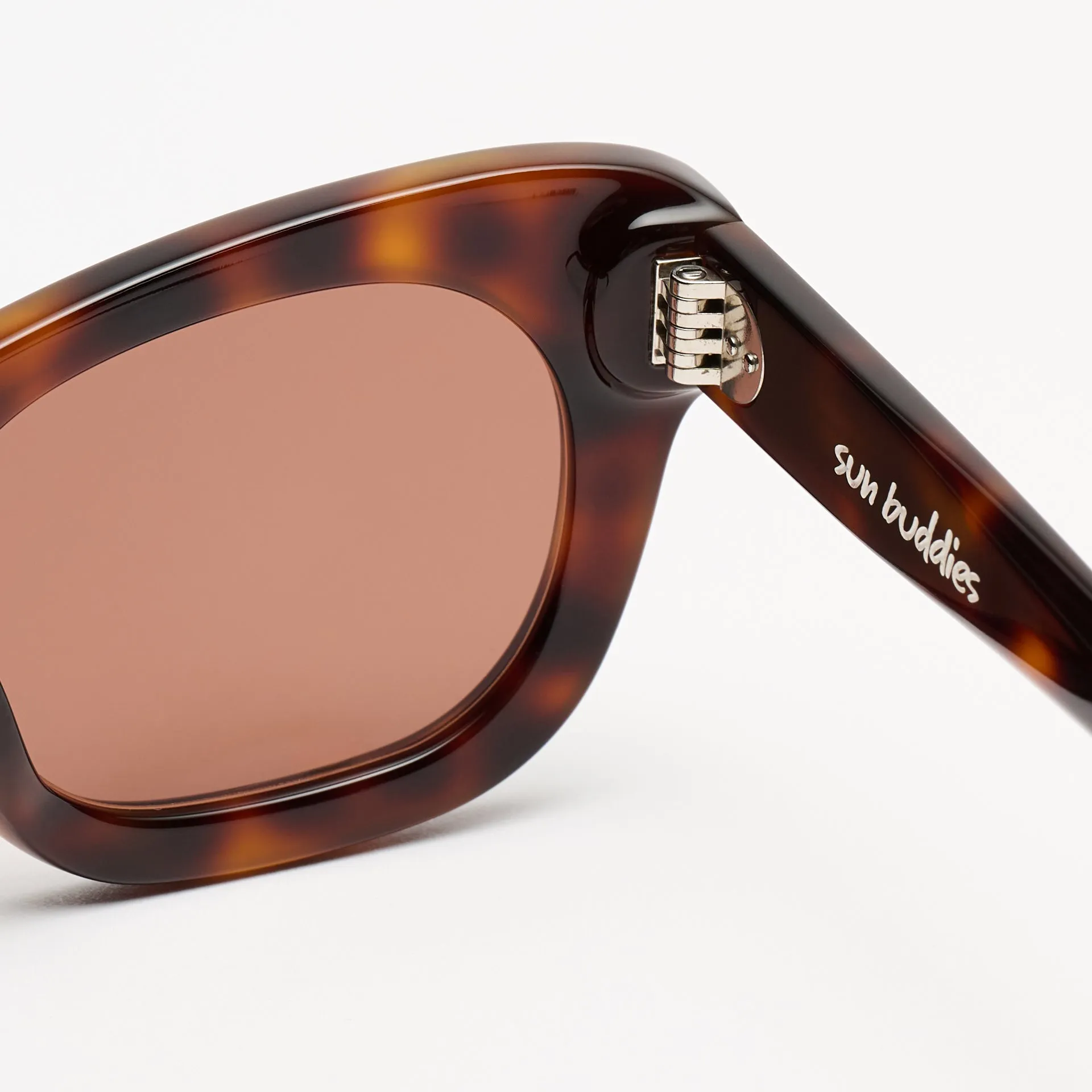 Ethan Tortoise sold by Sun Buddies product image thumbnail 5