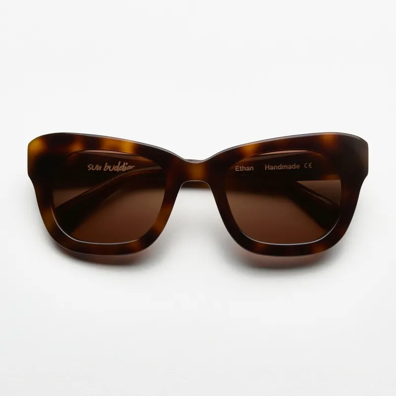 Ethan Tortoise sold by Sun Buddies