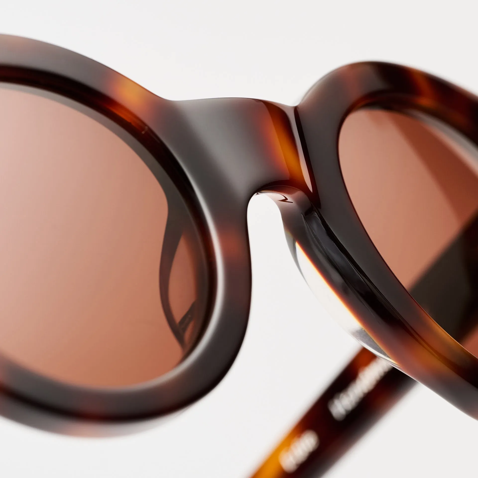 Edie Tortoise sold by Sun Buddies product image thumbnail 4