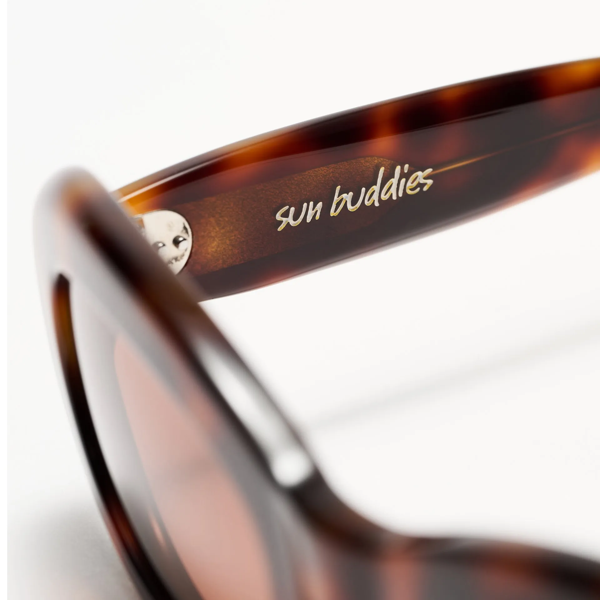 Courtney Tortoise sold by Sun Buddies product image thumbnail 4