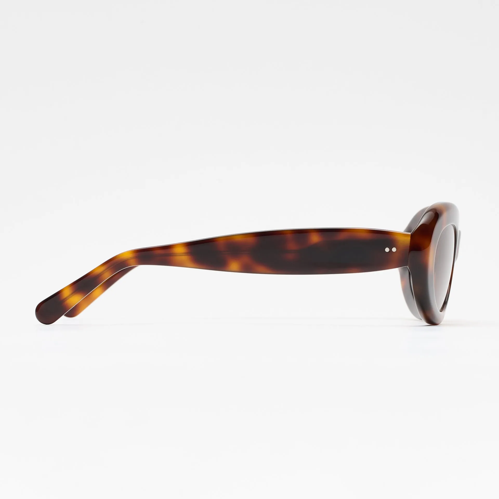 Courtney Tortoise sold by Sun Buddies product image thumbnail 3