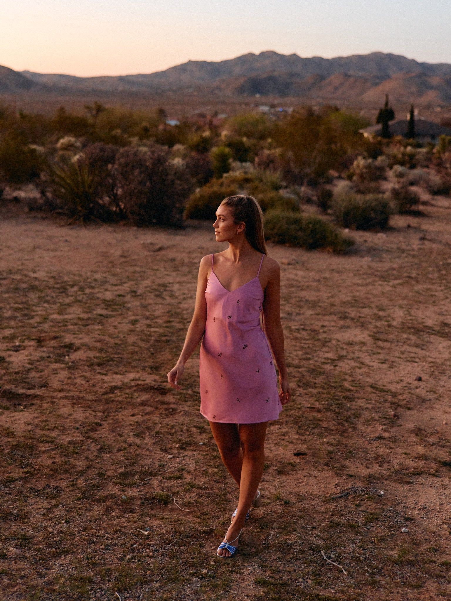 Elliot Mini Dress sold by Park and Fifth product image thumbnail 3