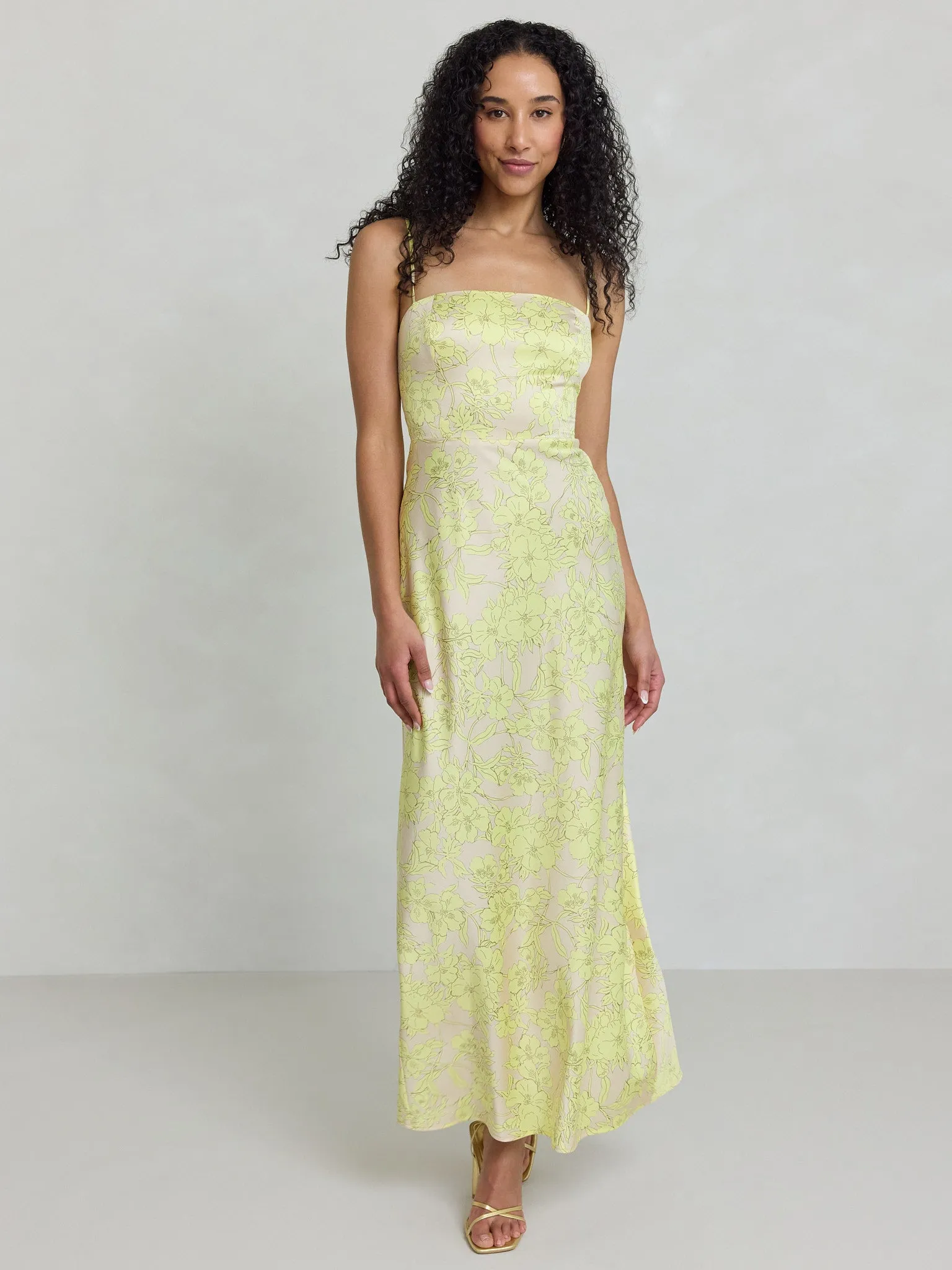 Maxine Dress sold by Park and Fifth