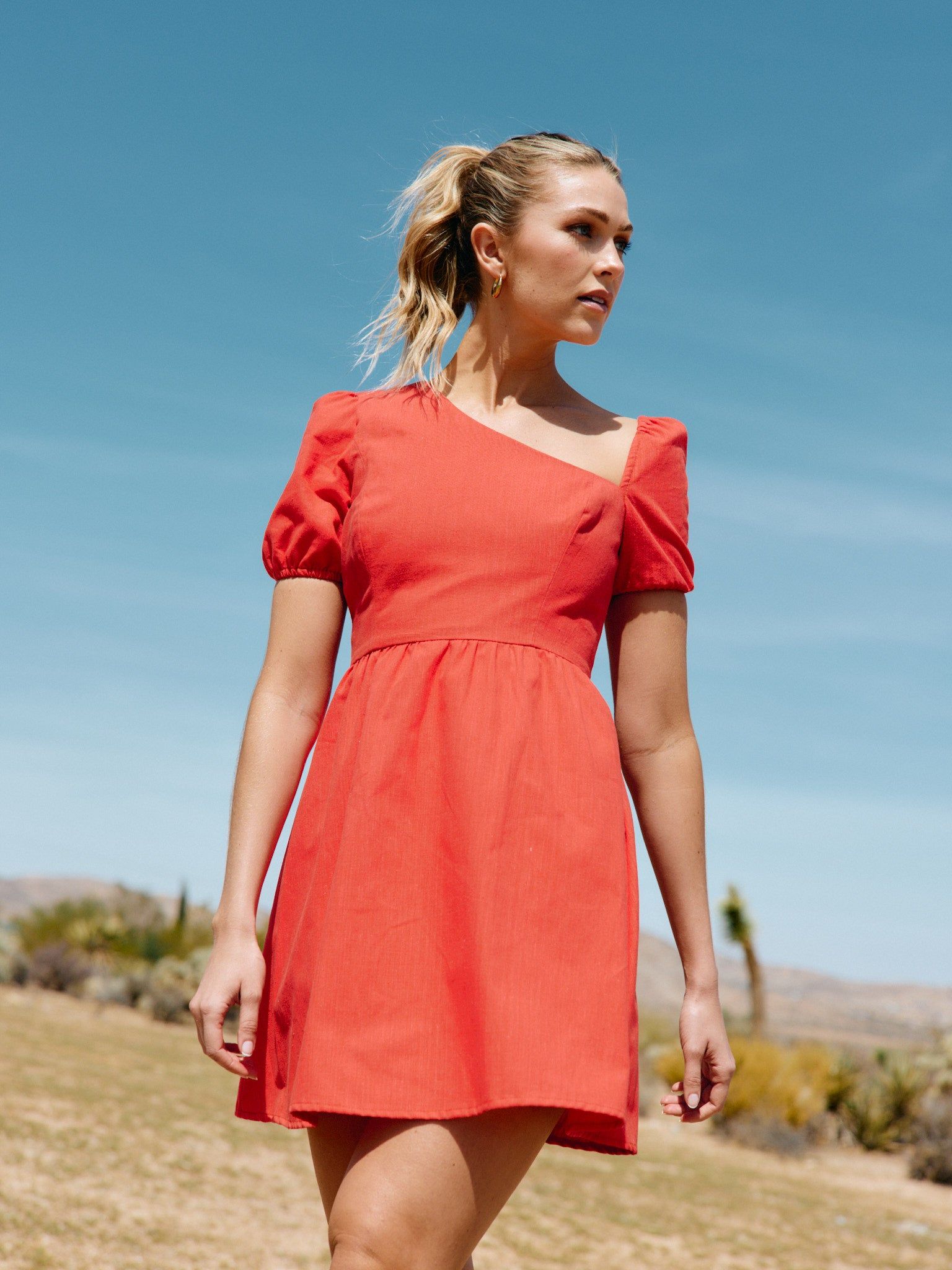 Pomona Mini Dress sold by Park and Fifth product image thumbnail 2