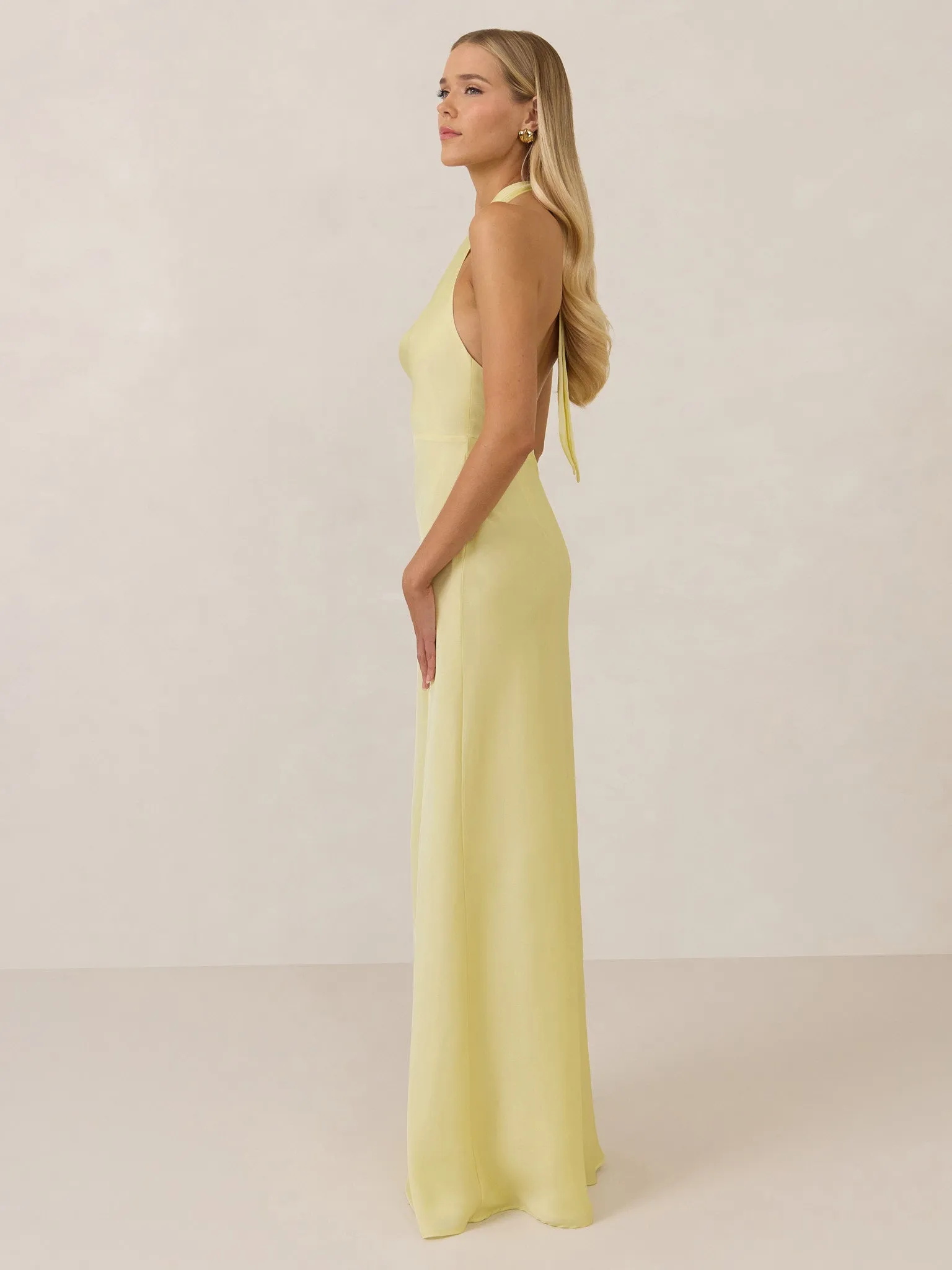 Ellery Dress sold by Park and Fifth product image thumbnail 3