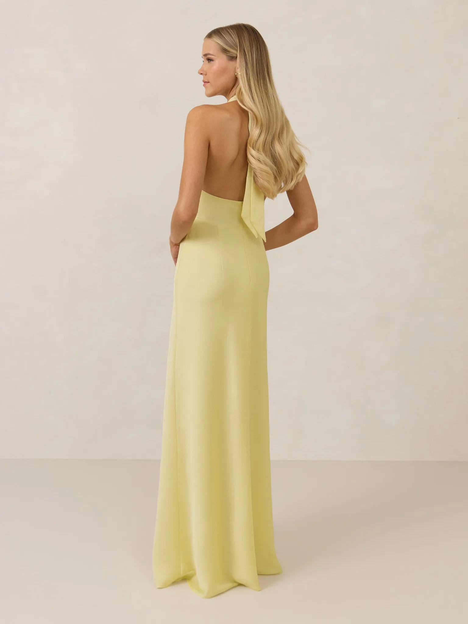 Ellery Dress sold by Park and Fifth product image thumbnail 4