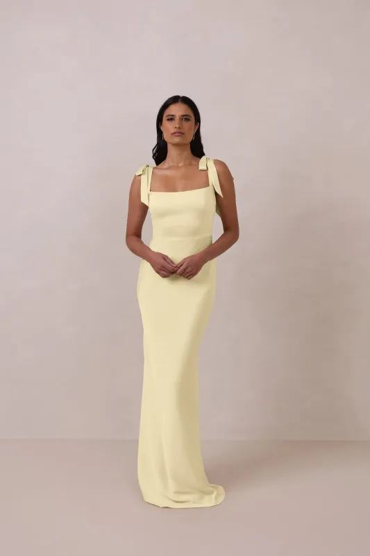 Albright Dress made by Park and Fifth