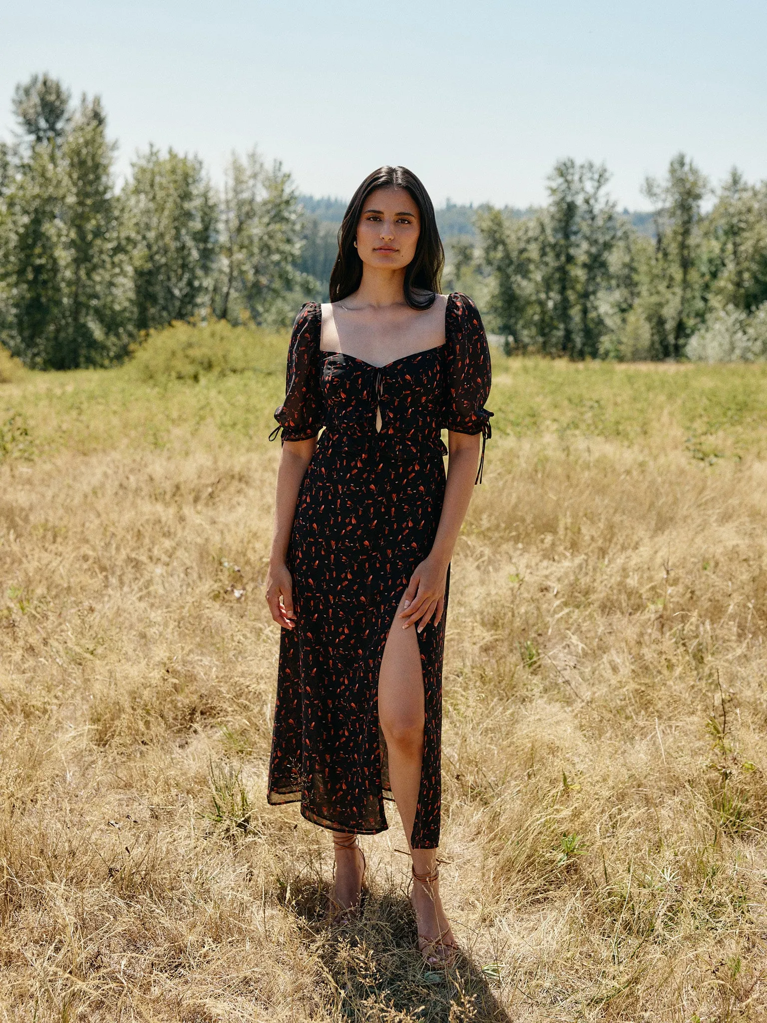 Preston Dress sold by Park and Fifth product image thumbnail 2