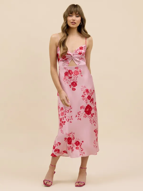 Aletta Dress sold by Park and Fifth